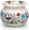 Multicolor Vase , White Plant Pot 